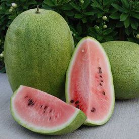 Sweet Princess, Organic Watermelon Seeds